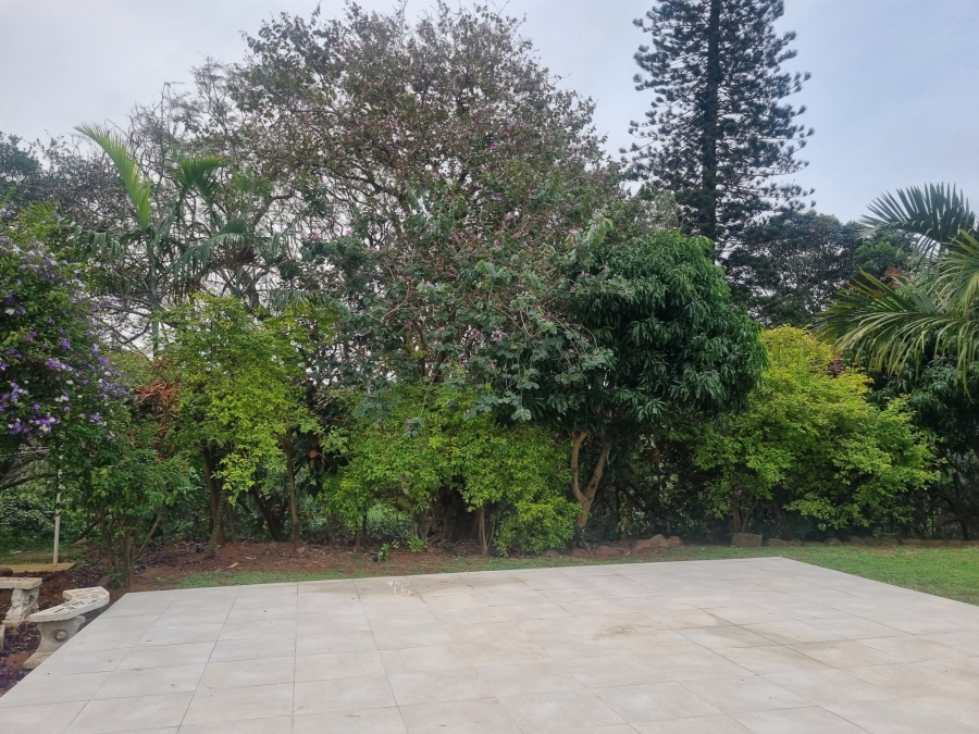 To Let 4 Bedroom Property for Rent in Durban North KwaZulu-Natal