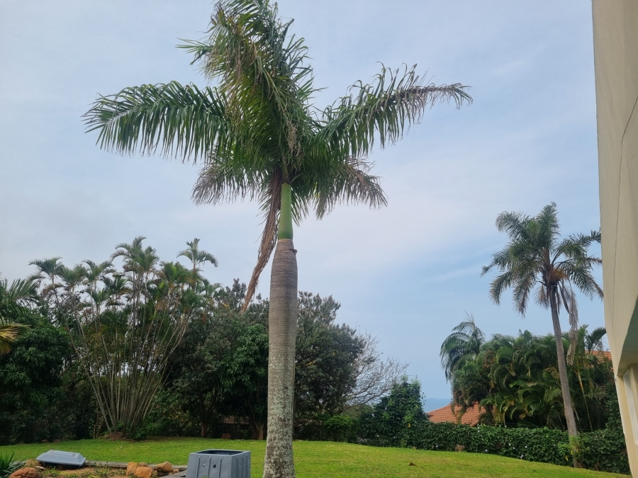 To Let 4 Bedroom Property for Rent in Durban North KwaZulu-Natal