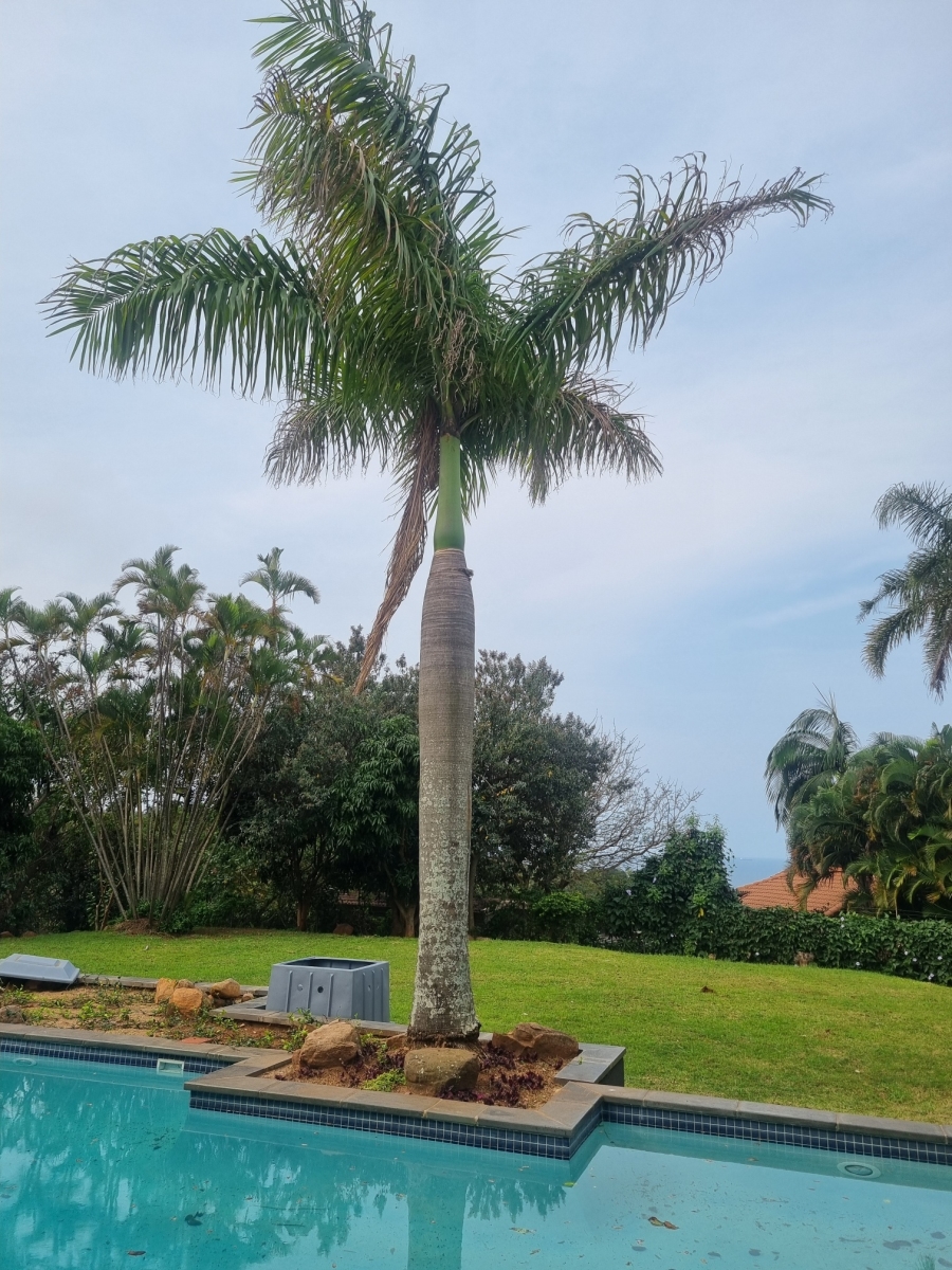 To Let 4 Bedroom Property for Rent in Durban North KwaZulu-Natal