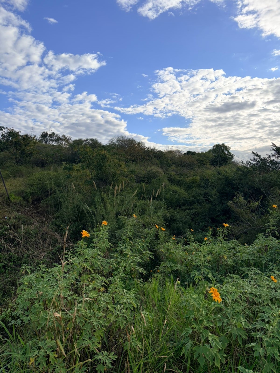 0 Bedroom Property for Sale in Tugela KwaZulu-Natal