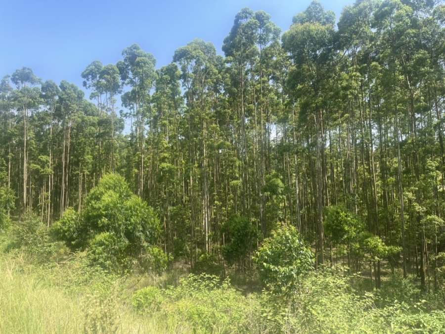 4 Bedroom Property for Sale in Elaleni Coastal Forest Estate KwaZulu-Natal