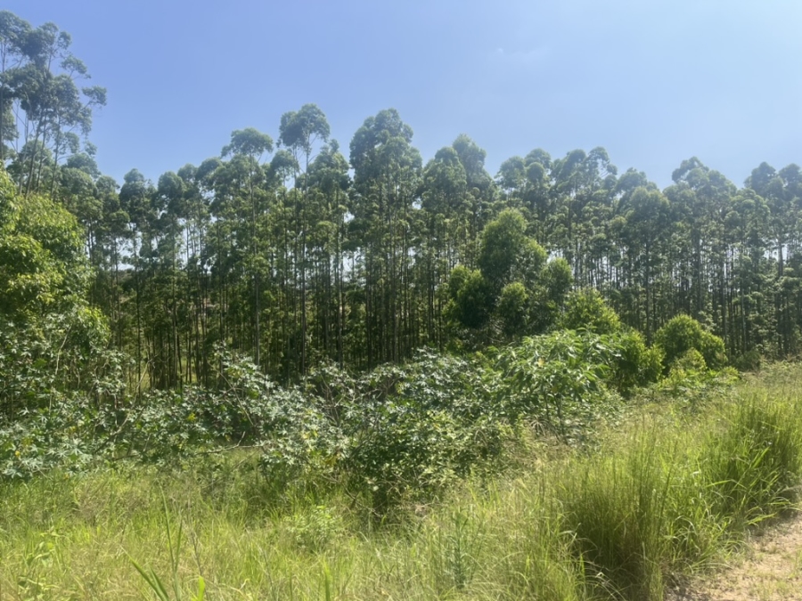 4 Bedroom Property for Sale in Elaleni Coastal Forest Estate KwaZulu-Natal