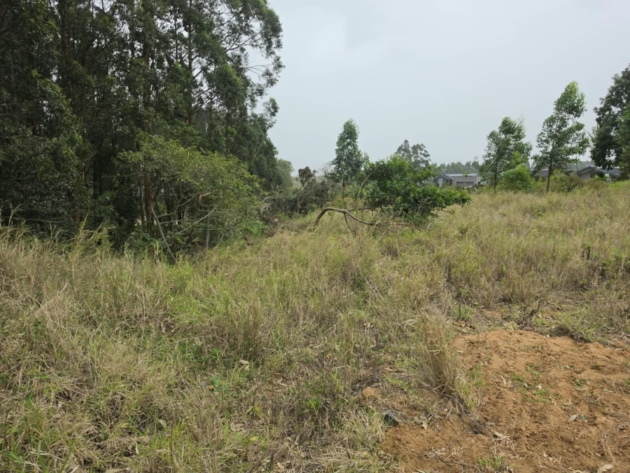 0 Bedroom Property for Sale in Elaleni Coastal Forest Estate KwaZulu-Natal