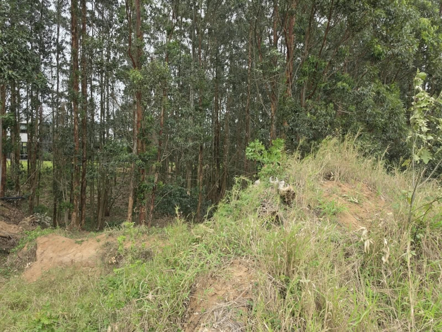 0 Bedroom Property for Sale in Elaleni Coastal Forest Estate KwaZulu-Natal