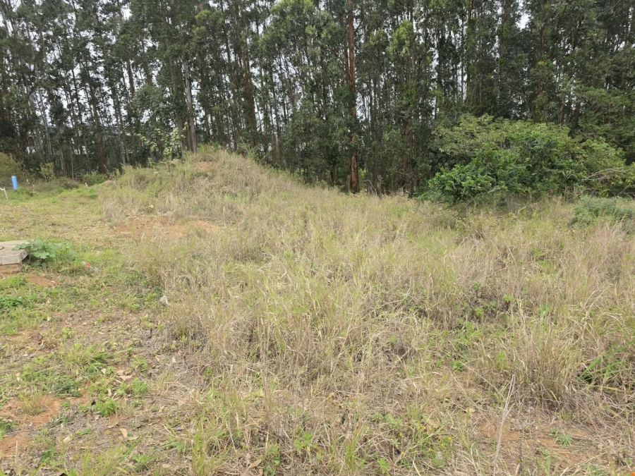 0 Bedroom Property for Sale in Elaleni Coastal Forest Estate KwaZulu-Natal