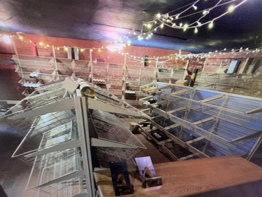 To Let Commercial Property for Rent in Morningside KwaZulu-Natal