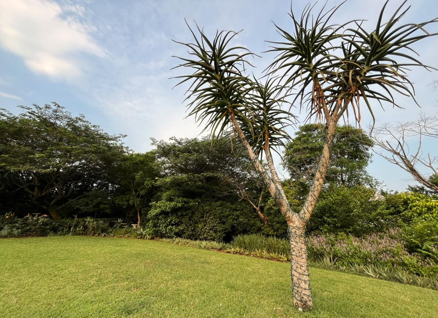 5 Bedroom Property for Sale in Zini River Estate KwaZulu-Natal