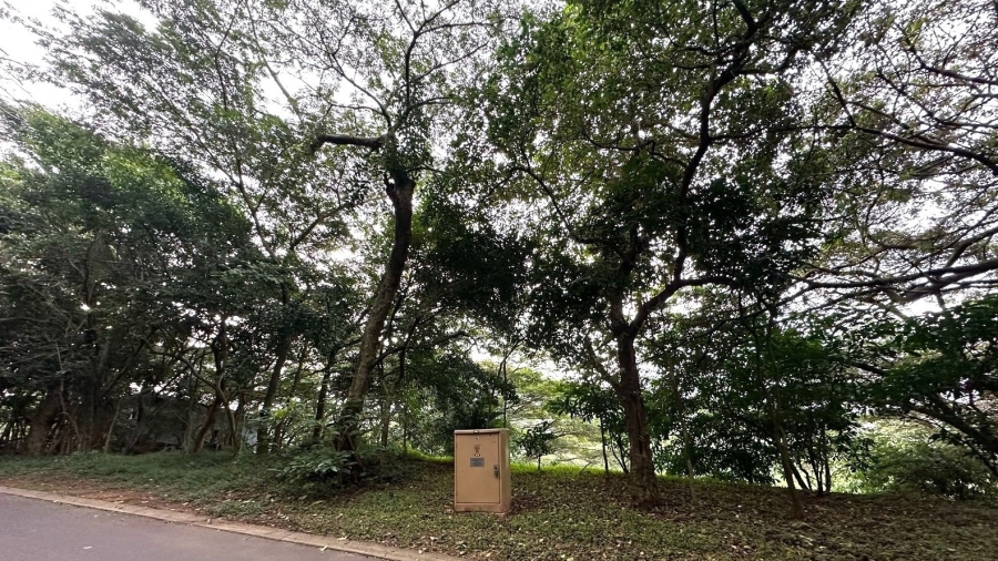 0 Bedroom Property for Sale in Simbithi Eco Estate KwaZulu-Natal