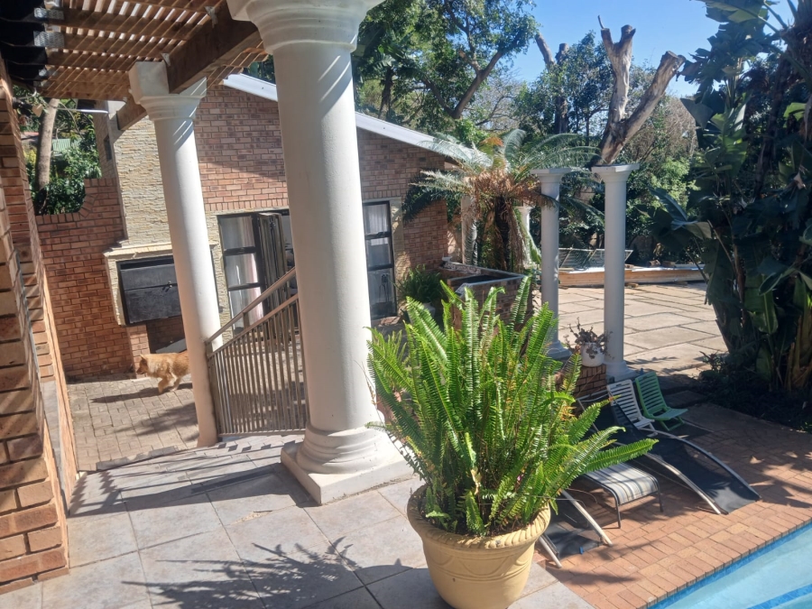 To Let 4 Bedroom Property for Rent in Mtunzini KwaZulu-Natal