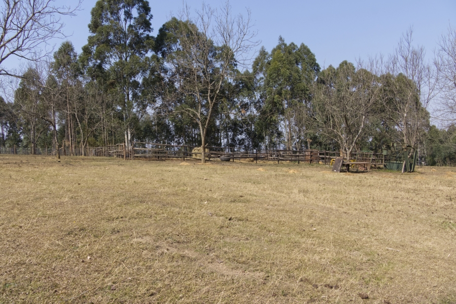 4 Bedroom Property for Sale in Howick Rural KwaZulu-Natal