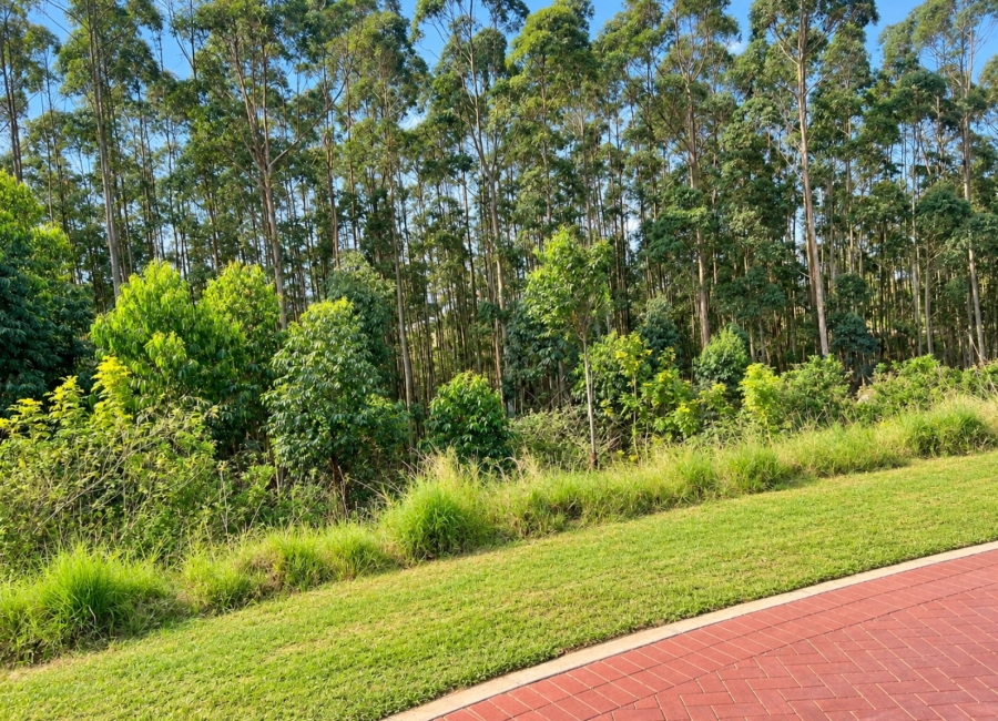 0 Bedroom Property for Sale in Elaleni Coastal Forest Estate KwaZulu-Natal
