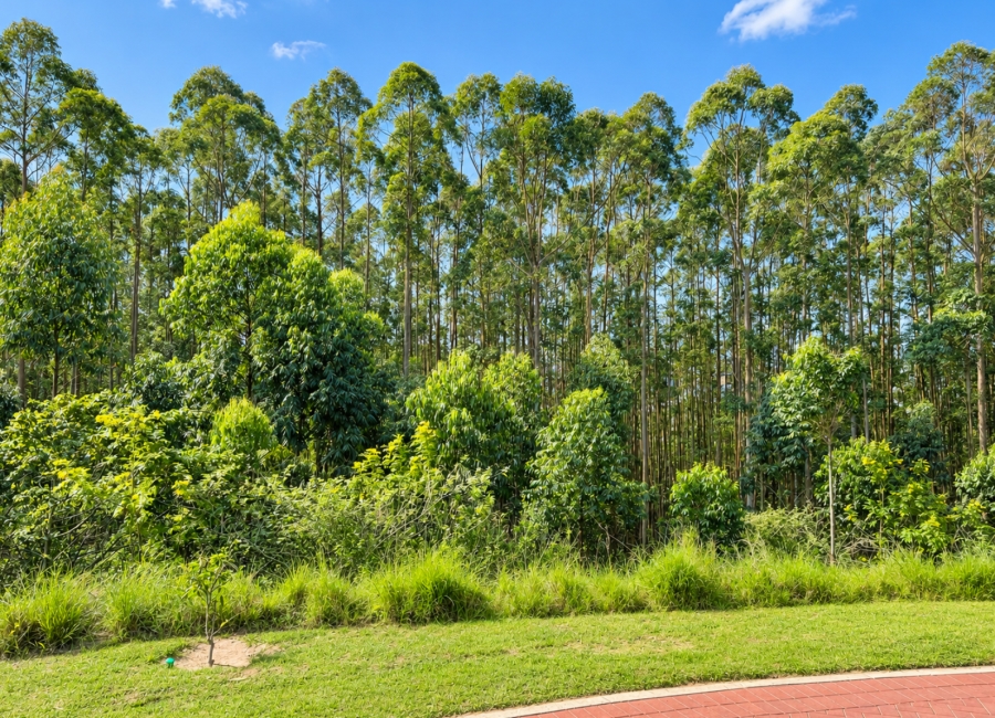 0 Bedroom Property for Sale in Elaleni Coastal Forest Estate KwaZulu-Natal