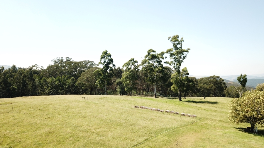 5 Bedroom Property for Sale in Dargle KwaZulu-Natal