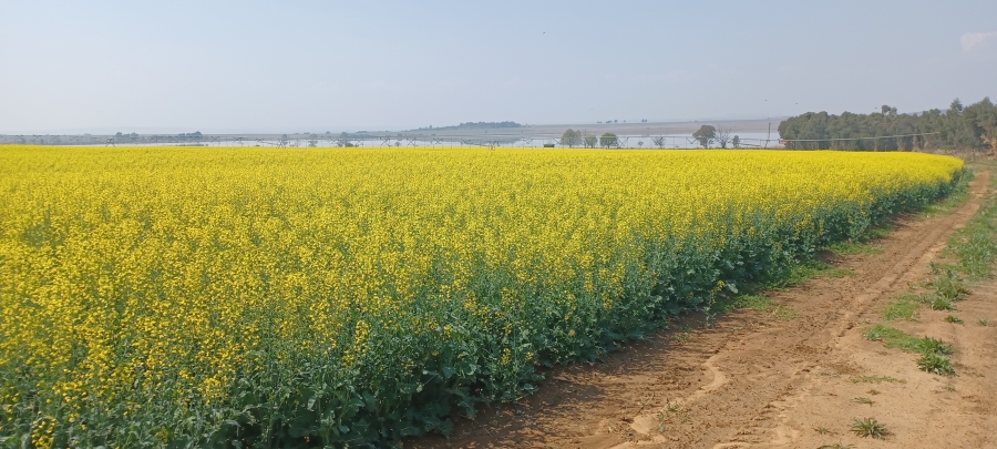 Commercial Property for Sale in Newcastle Rural KwaZulu-Natal