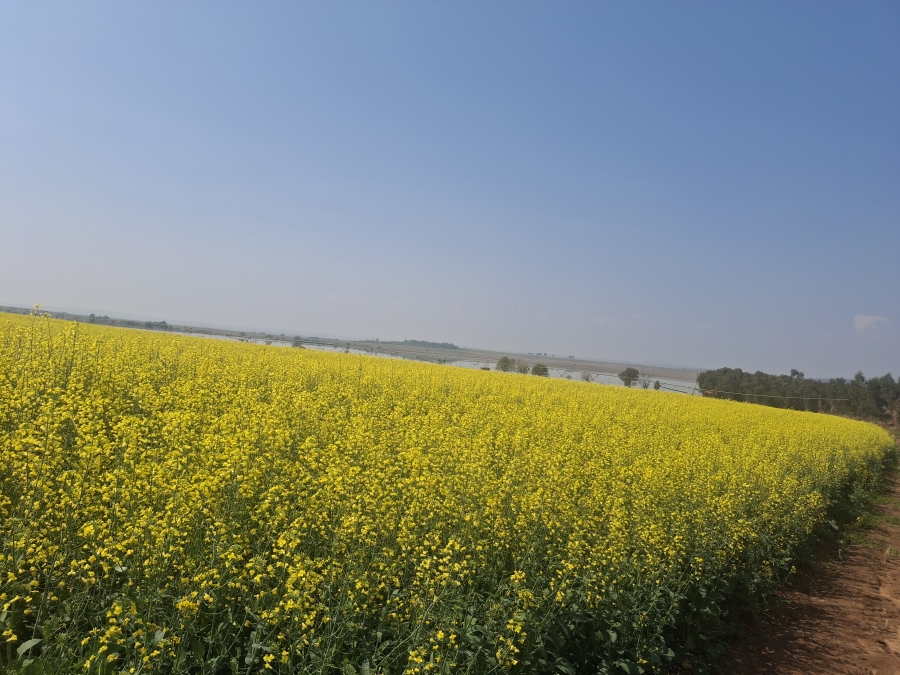 Commercial Property for Sale in Newcastle Rural KwaZulu-Natal