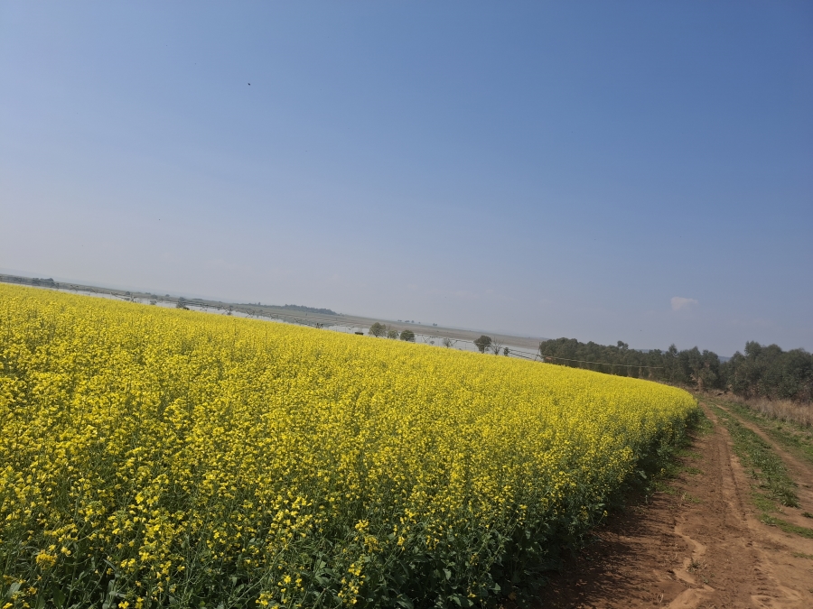 Commercial Property for Sale in Newcastle Rural KwaZulu-Natal