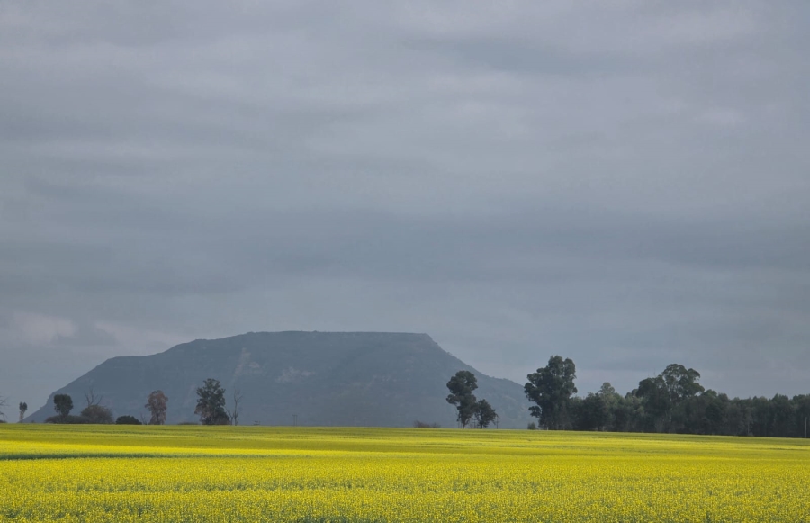 Commercial Property for Sale in Newcastle Rural KwaZulu-Natal