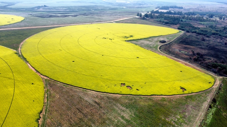 Commercial Property for Sale in Newcastle Rural KwaZulu-Natal