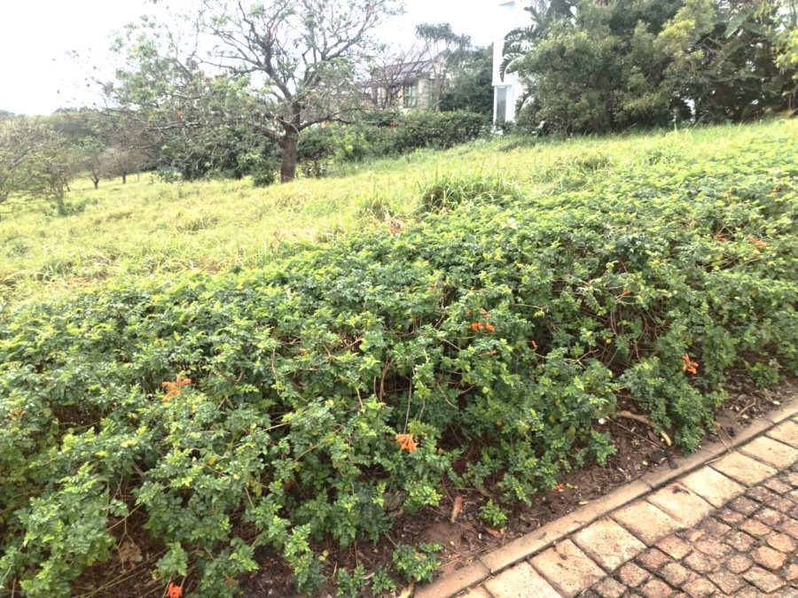 0 Bedroom Property for Sale in Zinkwazi Beach KwaZulu-Natal