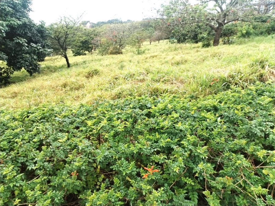 0 Bedroom Property for Sale in Zinkwazi Beach KwaZulu-Natal