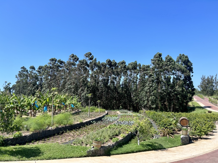To Let 4 Bedroom Property for Rent in Elaleni Coastal Forest Estate KwaZulu-Natal
