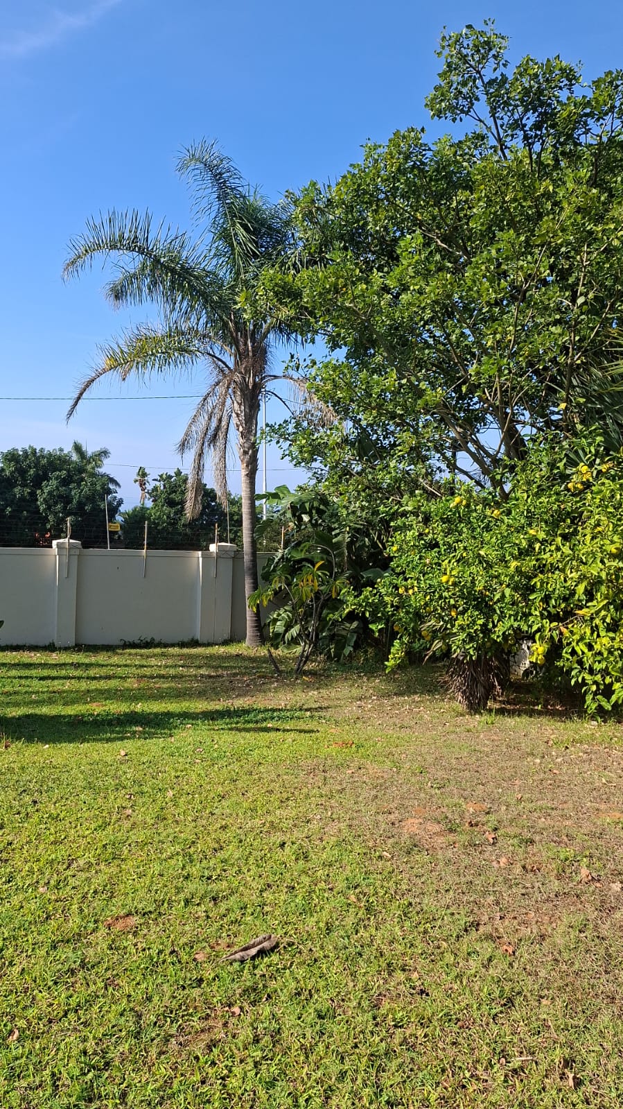 To Let 1 Bedroom Property for Rent in Umhlanga KwaZulu-Natal