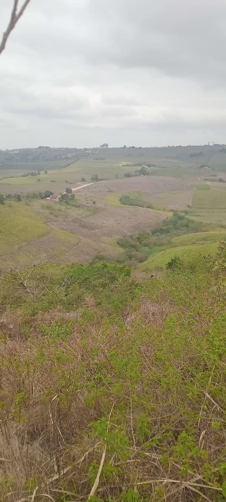 0 Bedroom Property for Sale in Inanda KwaZulu-Natal