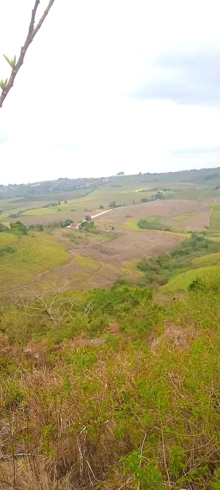 0 Bedroom Property for Sale in Inanda KwaZulu-Natal