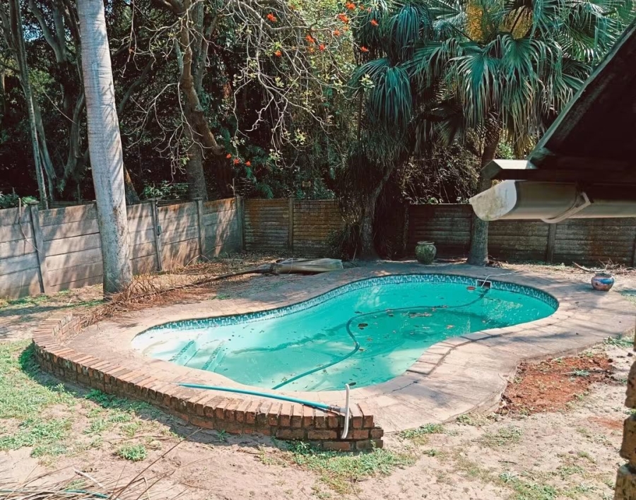 To Let 3 Bedroom Property for Rent in Arboretum KwaZulu-Natal