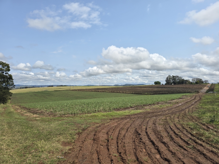 Commercial Property for Sale in Camperdown KwaZulu-Natal