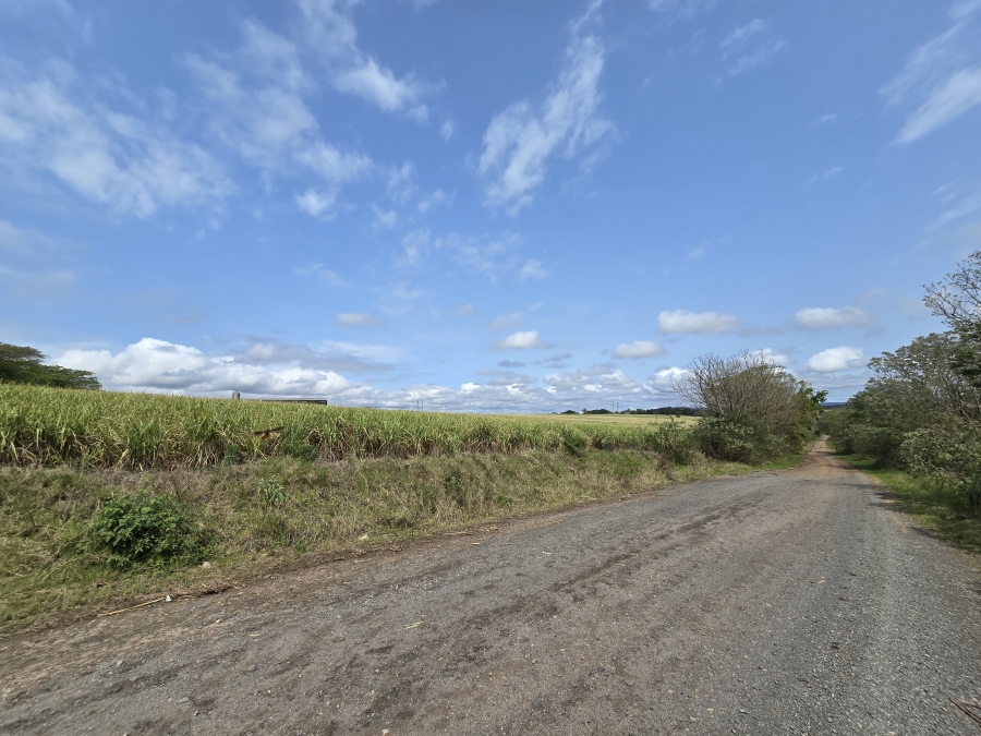 Commercial Property for Sale in Camperdown KwaZulu-Natal