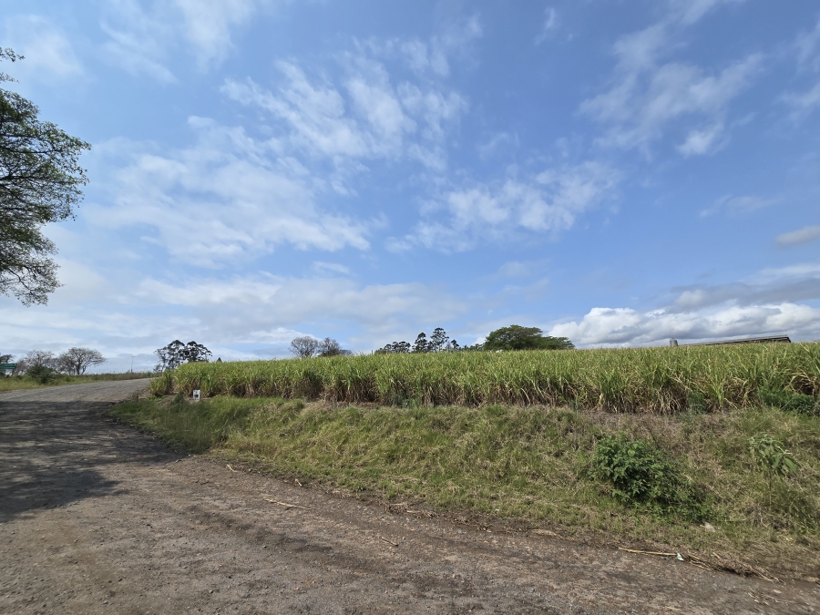Commercial Property for Sale in Camperdown KwaZulu-Natal