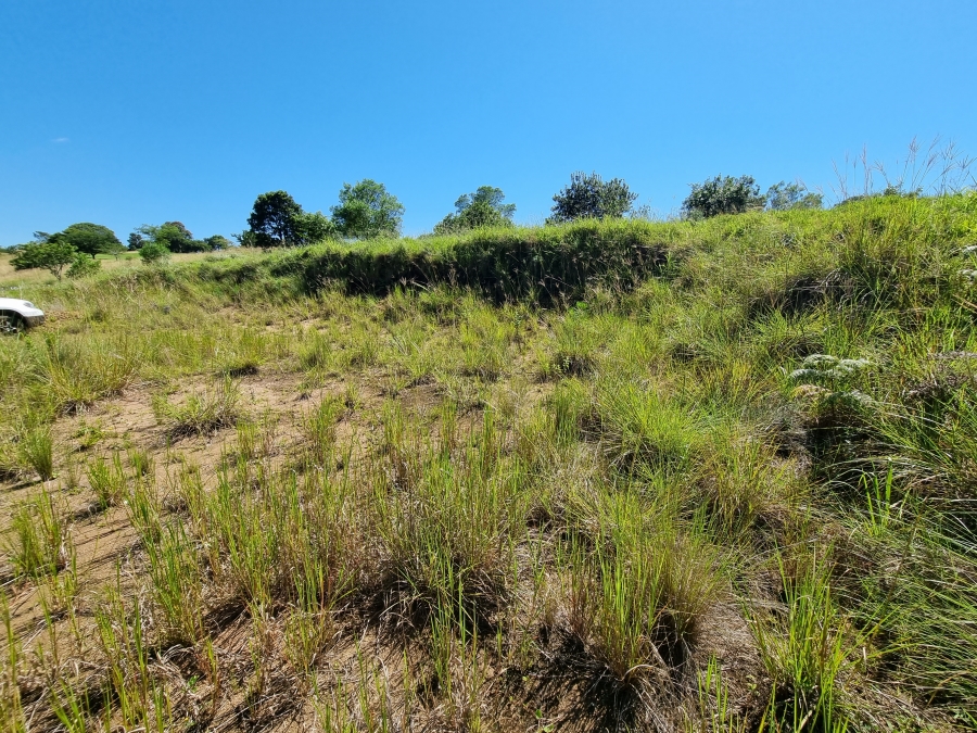 0 Bedroom Property for Sale in Eshowe KwaZulu-Natal