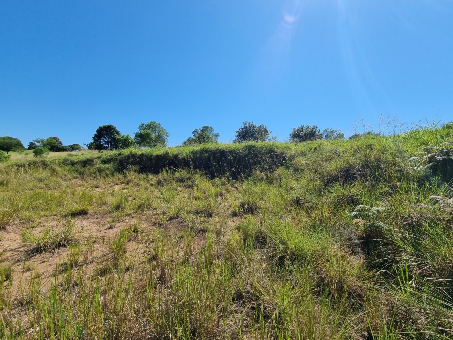 0 Bedroom Property for Sale in Eshowe KwaZulu-Natal