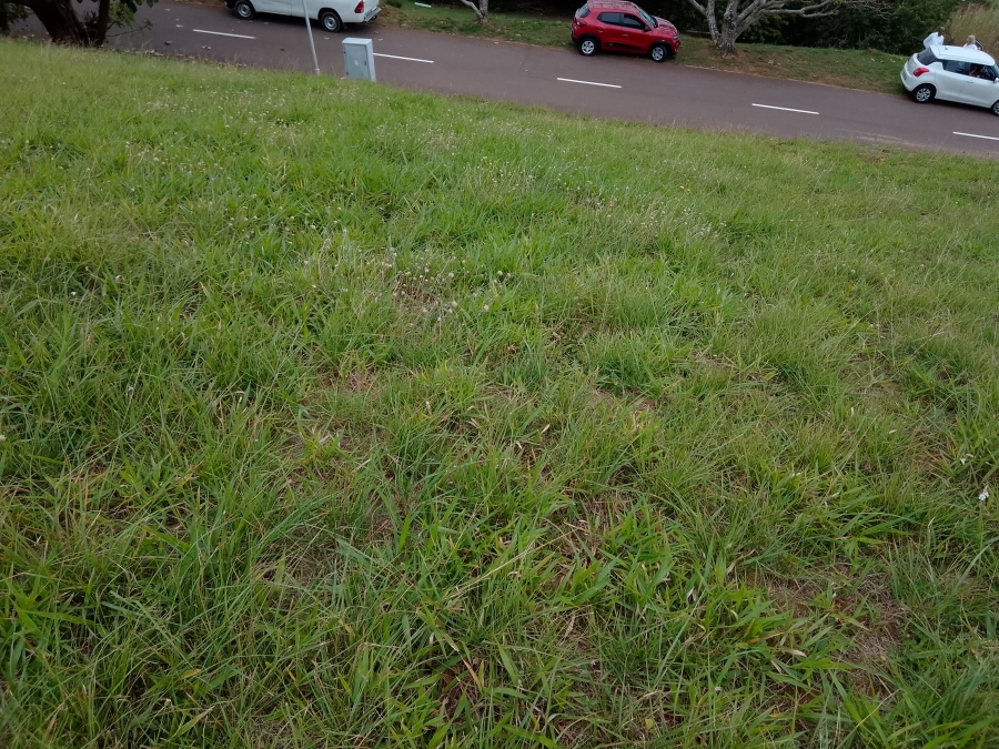 0 Bedroom Property for Sale in Panorama Park KwaZulu-Natal