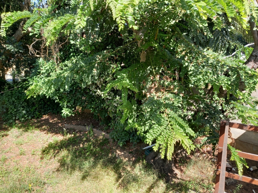 4 Bedroom Property for Sale in Blythedale KwaZulu-Natal