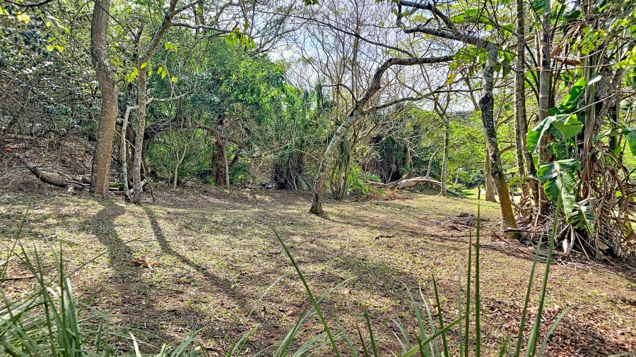 0 Bedroom Property for Sale in Pennington KwaZulu-Natal