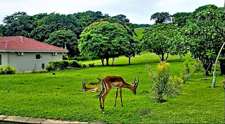 0 Bedroom Property for Sale in Pennington KwaZulu-Natal