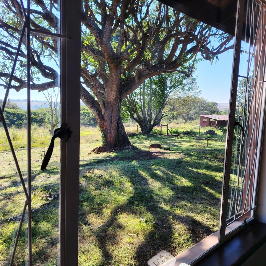 4 Bedroom Property for Sale in Merrivale KwaZulu-Natal