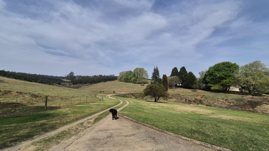 3 Bedroom Property for Sale in Howick Rural KwaZulu-Natal