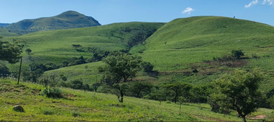 Commercial Property for Sale in Geluksburg KwaZulu-Natal