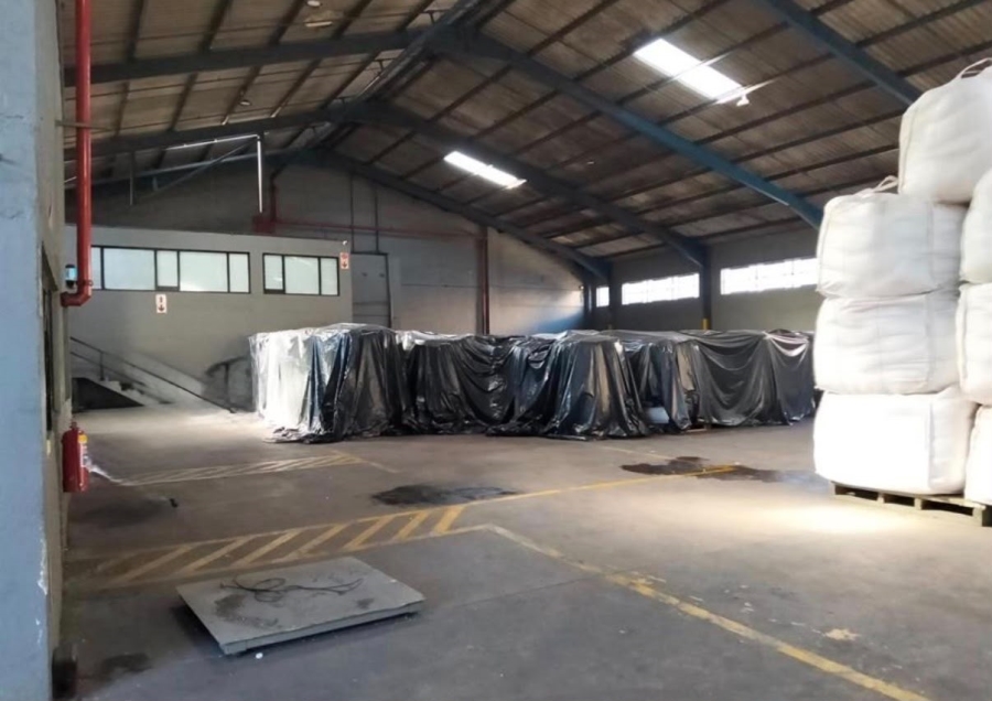 To Let Commercial Property for Rent in Rossburgh KwaZulu-Natal