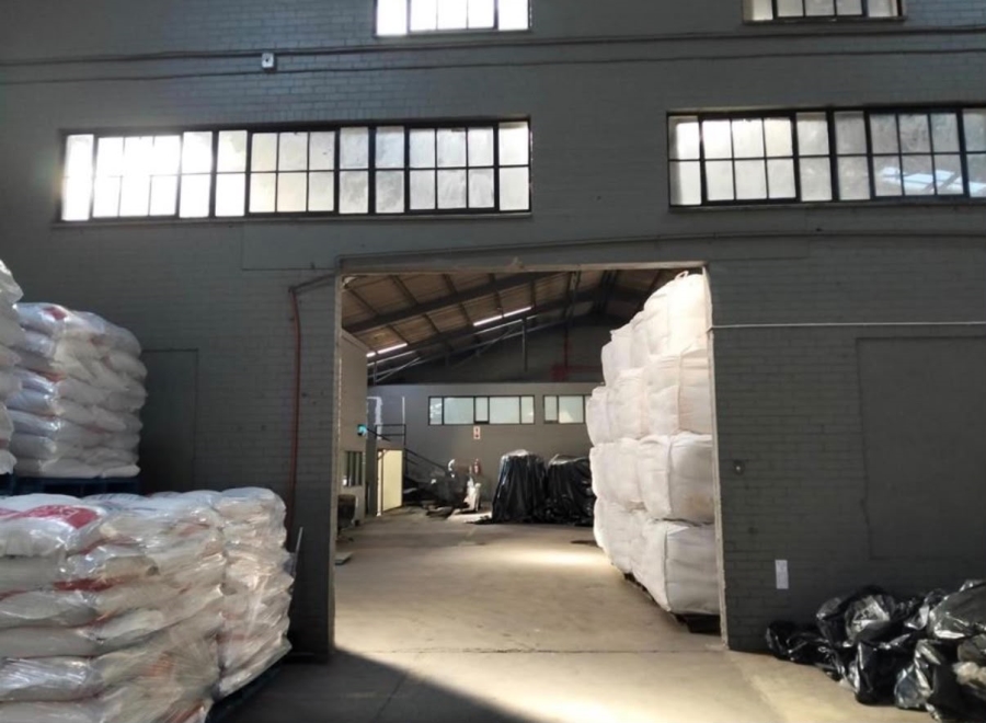 To Let Commercial Property for Rent in Rossburgh KwaZulu-Natal