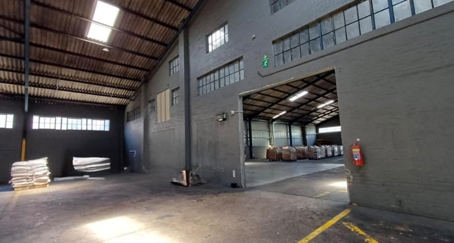 To Let Commercial Property for Rent in Rossburgh KwaZulu-Natal