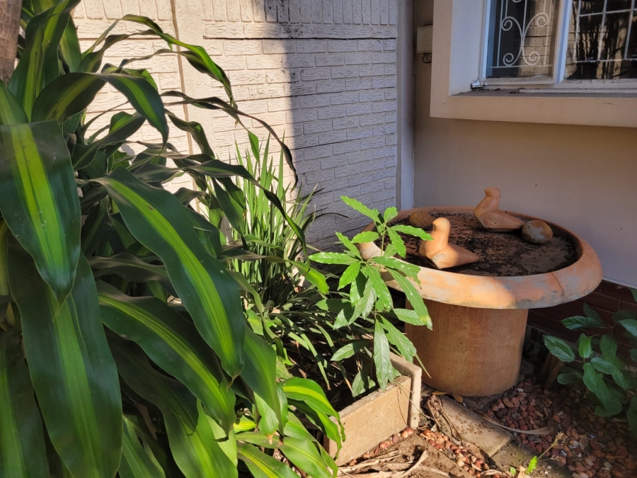 To Let 2 Bedroom Property for Rent in Morningside KwaZulu-Natal