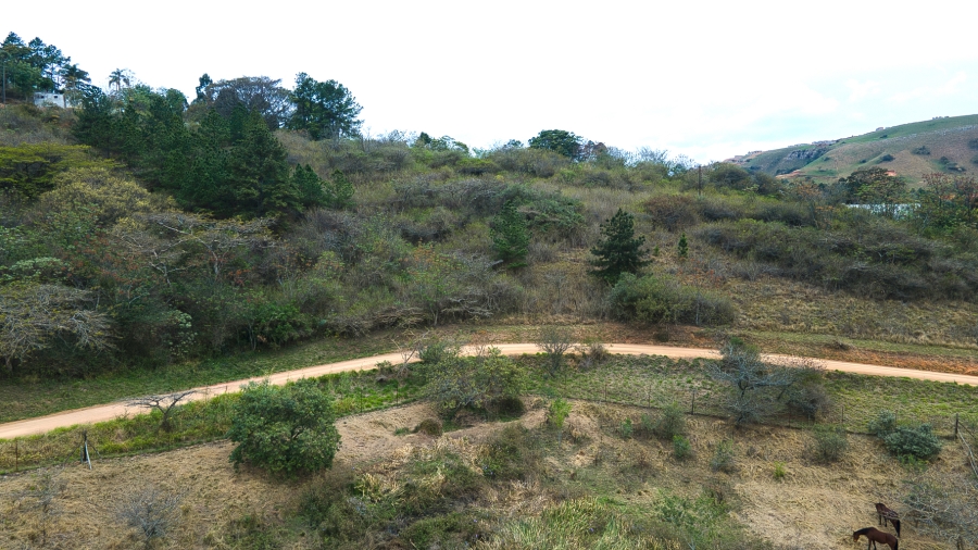 0 Bedroom Property for Sale in Peacevale KwaZulu-Natal