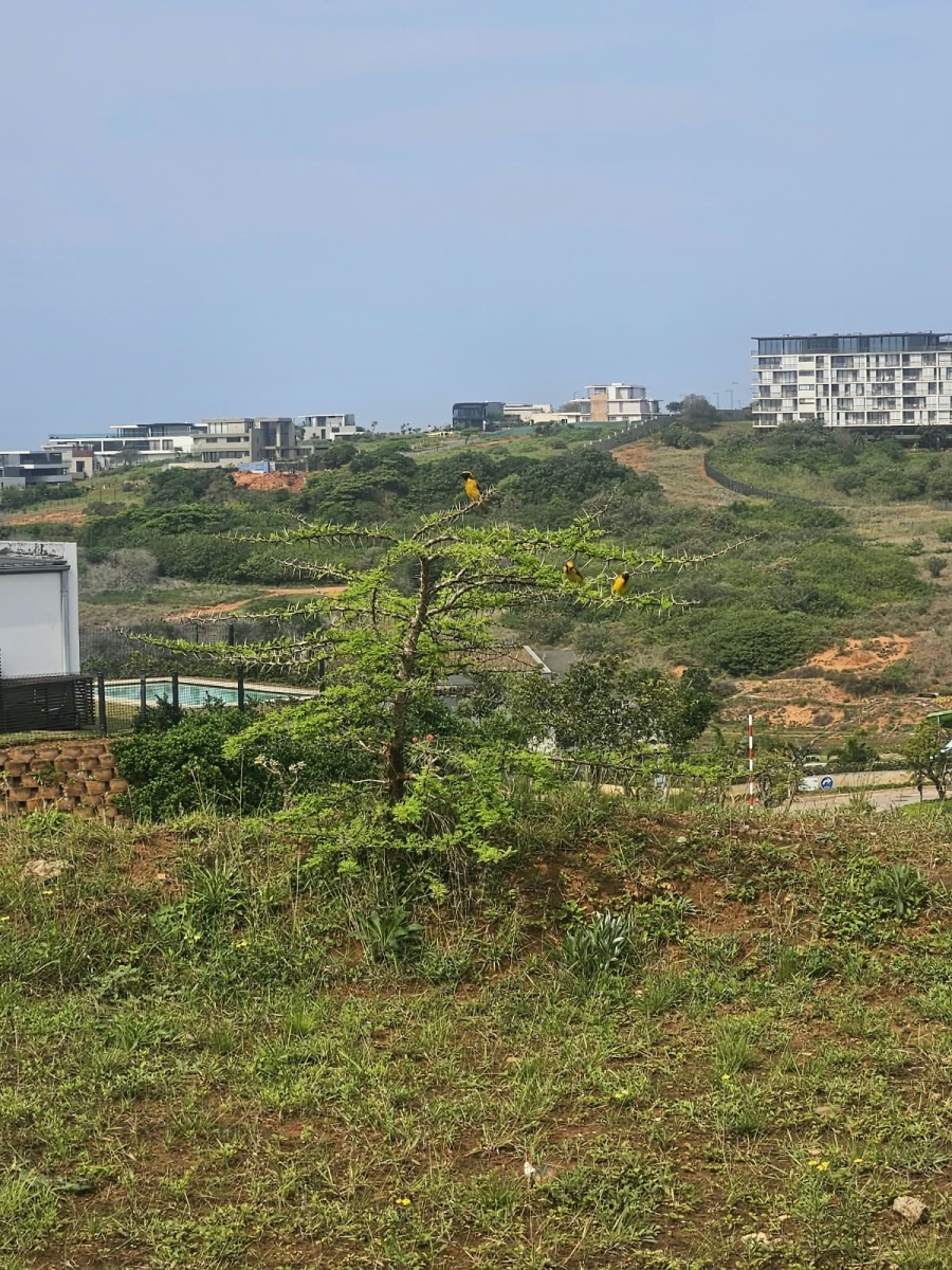 0 Bedroom Property for Sale in Sibaya Precinct KwaZulu-Natal