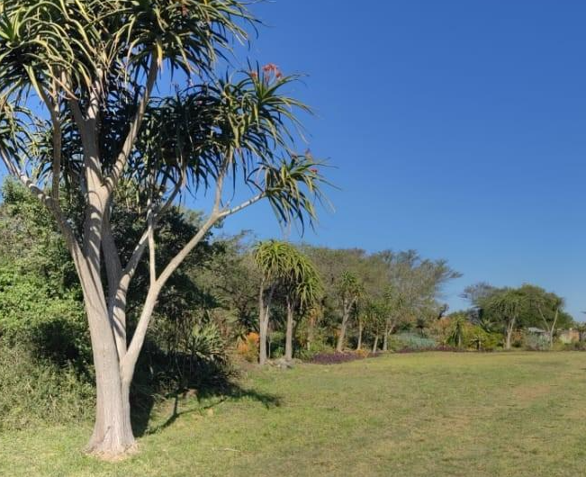 11 Bedroom Property for Sale in Ashburton KwaZulu-Natal