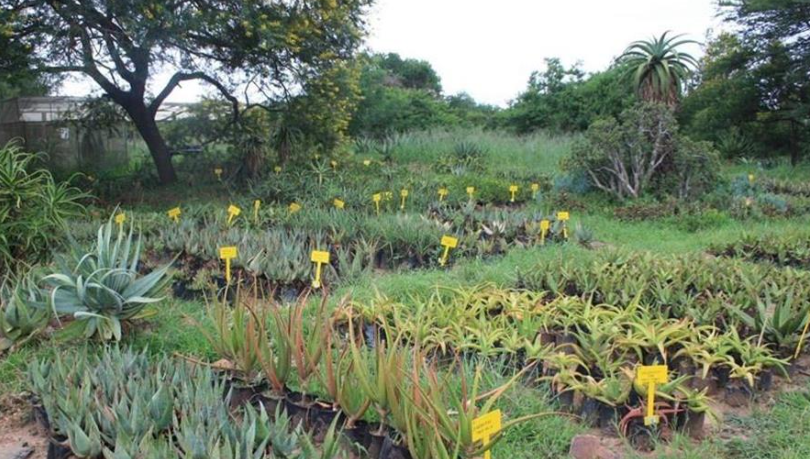 11 Bedroom Property for Sale in Ashburton KwaZulu-Natal