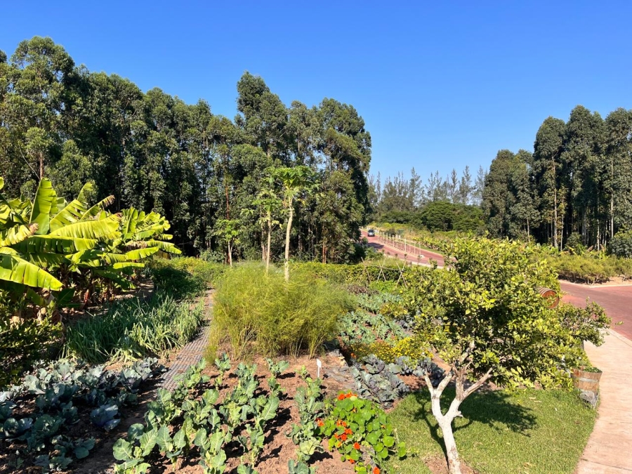 4 Bedroom Property for Sale in Elaleni Coastal Forest Estate KwaZulu-Natal